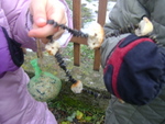 DSC05199.JPG
